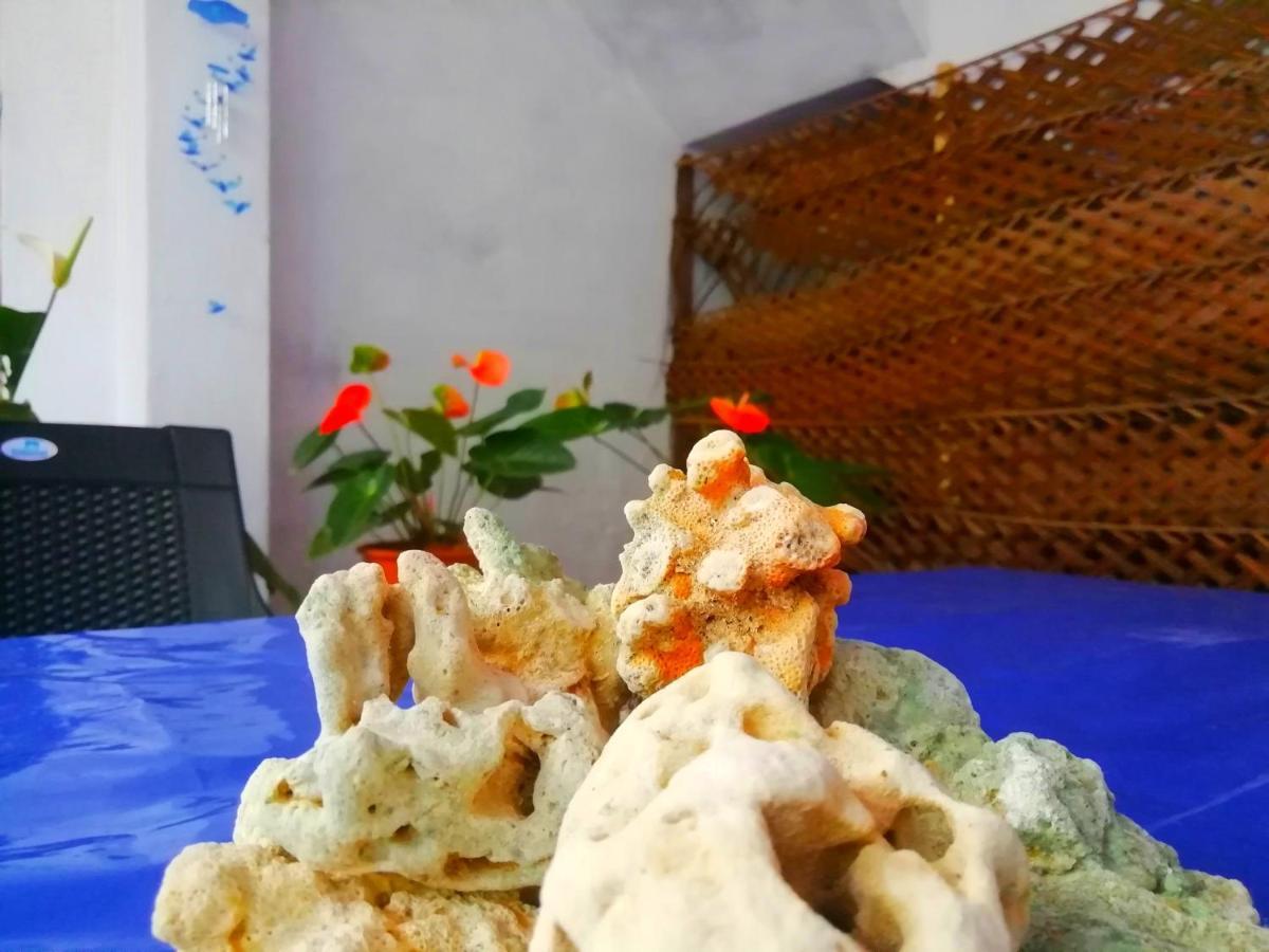 New Coral Garden weligama Hotel Buitenkant foto
